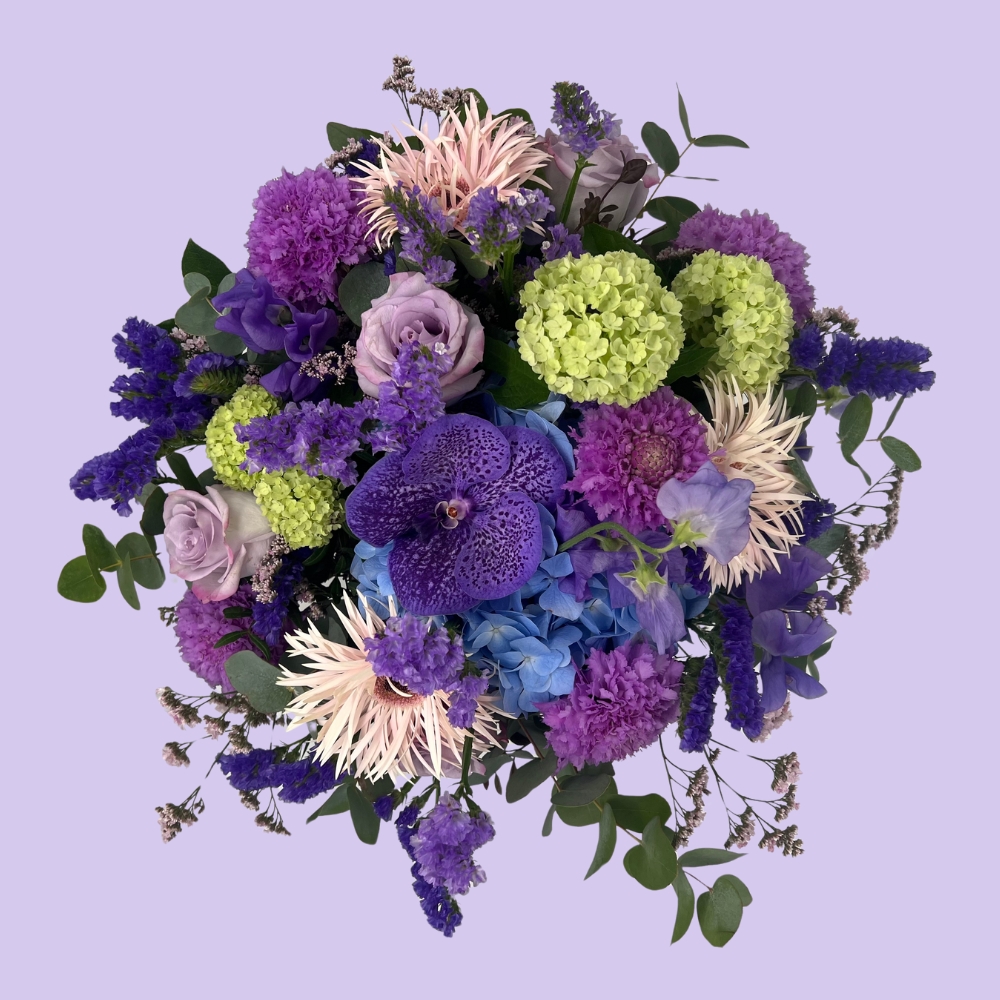 Fleurs et plantes